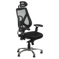 Biuro kėdė BX-4310, juoda